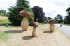 130729Kew03944
