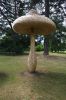 130729Kew03948