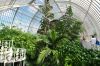 130729Kew04005