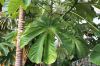 130729Kew04010