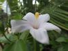 130729Kew04019