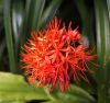 130729Kew04020