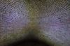 130729Kew03906
