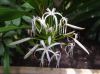 130729Kew04021