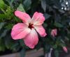 130729Kew04022
