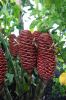 130729Kew04025