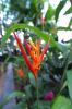 130729Kew04030