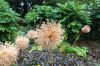 130729Kew03904