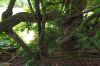 130729Kew03910