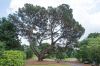 130729Kew03918