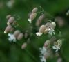 130721Fouly02940
