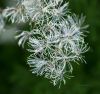 130721Fouly02954
