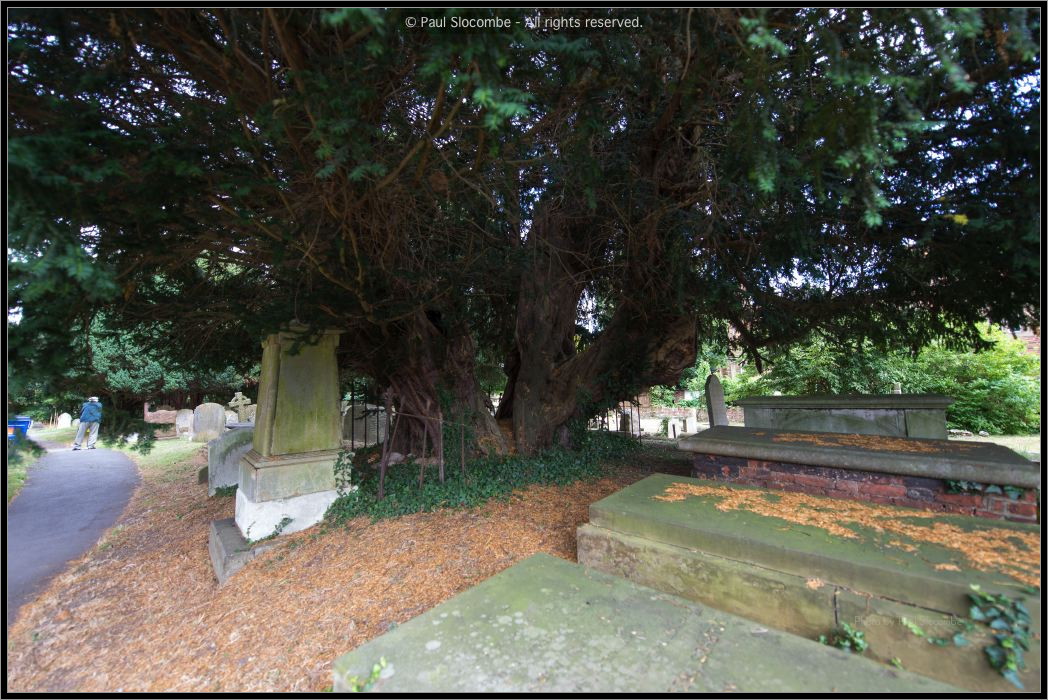 130804StMarys04352
