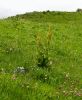 130718Chapieux02534
