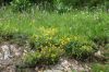 130718Chapieux02521