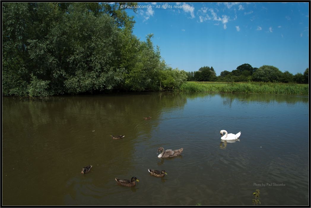 130801Oxford04096