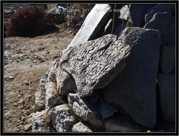 101205dingboche0435
