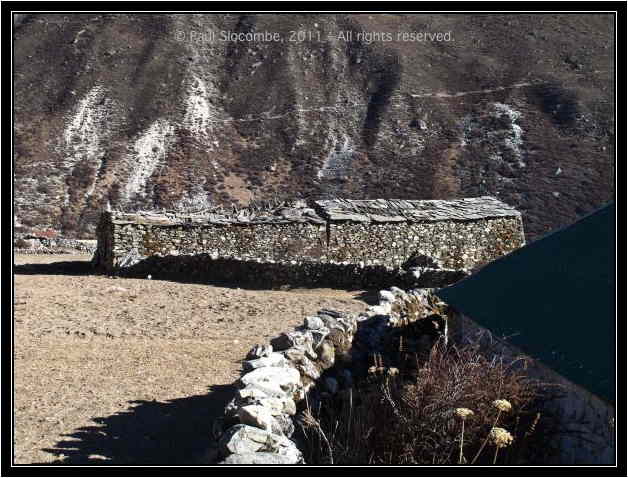 101205dingboche0438