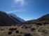 101205dingboche0427