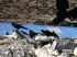 101205dingboche0429