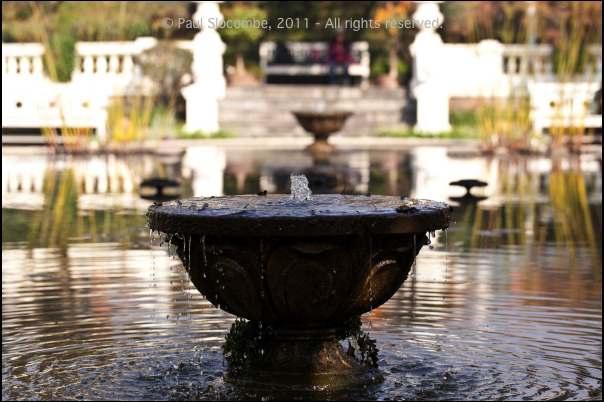 101215gardendreams05725