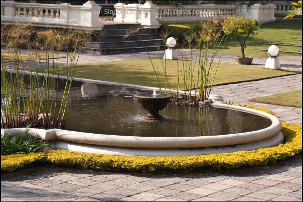 101215gardendreams05705