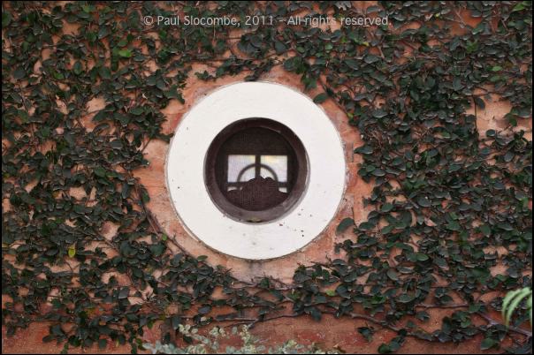 101215gardendreams05766
