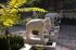 101215gardendreams05704