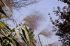 101215gardendreams05716