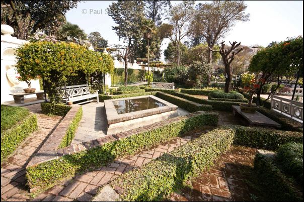 101215gardendreams05805