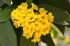 101215gardendreams05778
