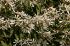 101215gardendreams05794