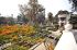 101215gardendreams05813