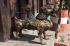 101126kathmandu04819