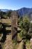 101130lukla04885