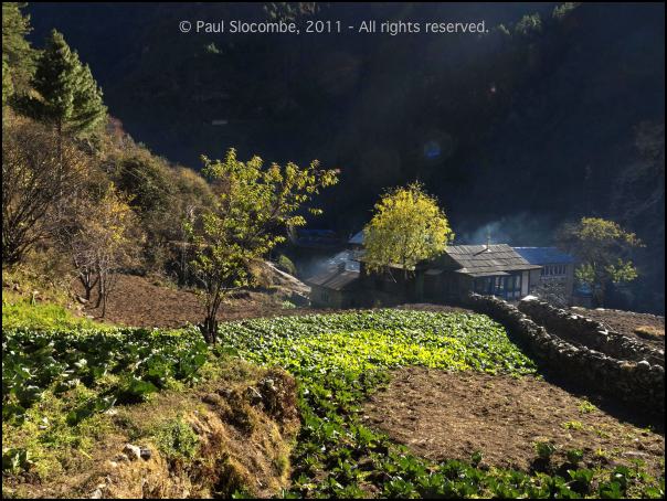 101201namche0189