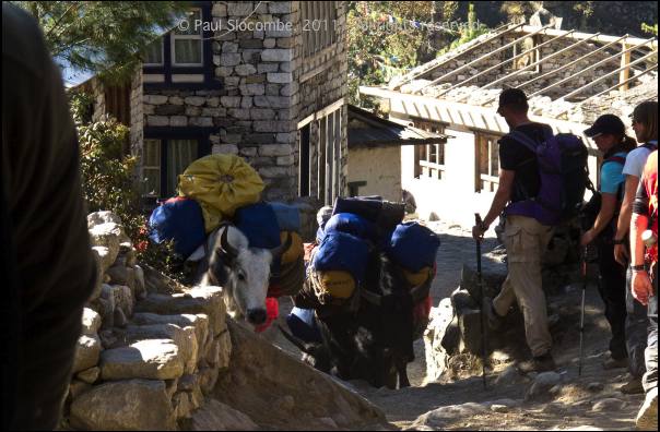 101201namche0200