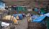 101201namche04955