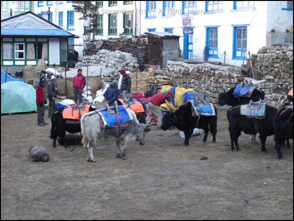 101203namche0256