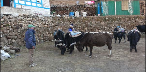 101211namche05494