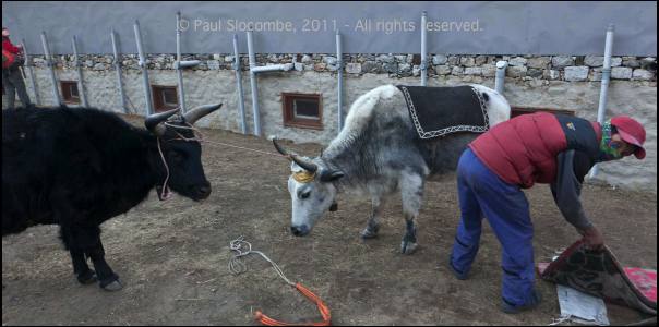 101211namche05495