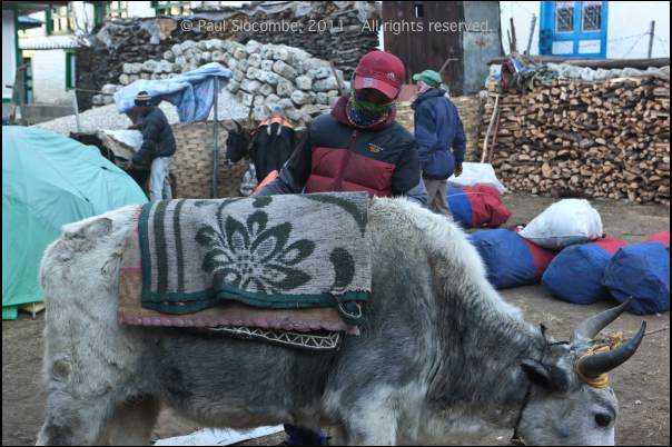101211namche05496