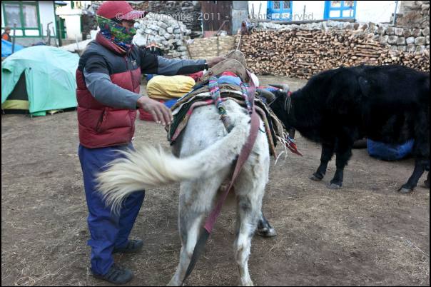 101211namche05500