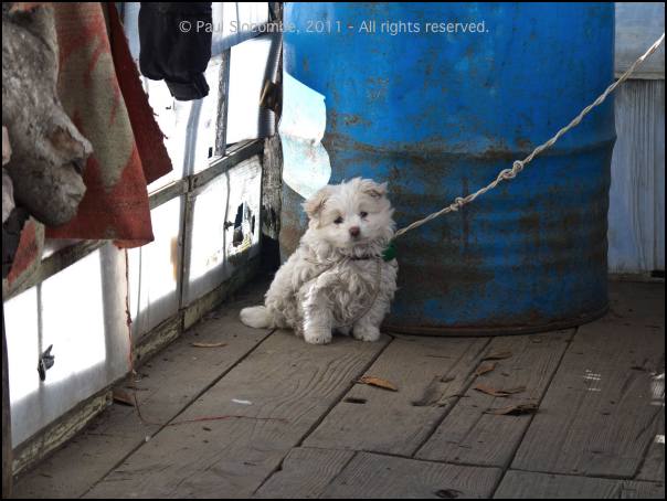 101202namche0228