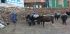 101211namche05494