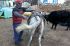 101211namche05500