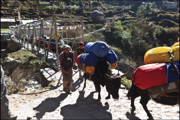 101130phakding04940