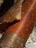 101203phortse0306