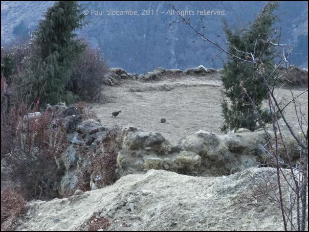 101203phortse0348