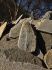 101203phortse0317